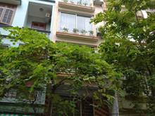 Hình ảnh Cho thuê nhà Hoàng sâm, Cầu giấy, Nhà đẹp ô tô đỗ cửa,5 tầng,DT 50m