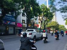 Hình ảnh [SIÊU HIẾM] Huỳnh Thúc Kháng, Đình 65m2. P.Lô QĐ, ở hay kd siêu đỉnh