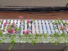 Hình ảnh Nhà đẹp vào ở ngay! Gần chợ Phạm Văn Hai, Đường Nguyễn Bặc, Phường 3,