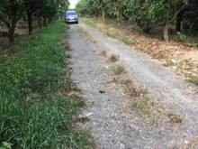 Hình ảnh Tôi cần bán gấp đất 1000m2(20mx50m) ở đường hương lộ 105, Phú Ngọc
