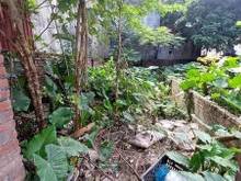 Hình ảnh Bán đất (trong đê) Giang Biên - ngõ thông  ô tô tải - tiện ích Vinhome