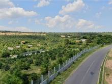 Hình ảnh Bán 12,400m2 đất vườn hồng thái ngay đường liên xã ra biển nở hậu