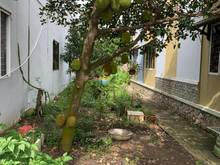 Hình ảnh Cho thuê nhà nguyên căn tại quốc lộ 50, Cần Đước, Long An