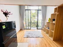 Hình ảnh Cho thuê CHDV Duplex Sang chảnh view thoáng_ban công_giá cực tốt