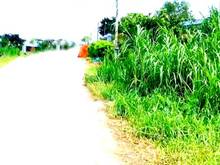 Hình ảnh HIẾM – BÁN ĐẤT ĐƯỜNG 12M, 2 tỷ 1, Tân Nghĩa, Hàm Tân, Bình Thuận