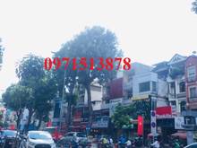 Hình ảnh Bán Nhà Mặt Tiền Đường 3 Tháng 2, P2 Quận 11, 65m2, 5 tầng, 23 tỷ