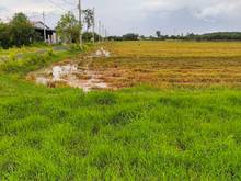 Hình ảnh Bán đất 2 mặt tiền nguyễn thị hẹ - 14.000m2 quy hoạch kdc - gần tỉnh