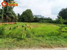 Hình ảnh Bán đất đường Nguyễn Thị Ngoạn - 1329m2 - 46x35 - 300m2 thổ cư