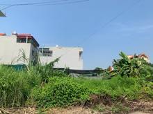 Hình ảnh Bán gấp lô đất 132m khu 31ha Trâu Quỳ đường 13m view trung tâm TM