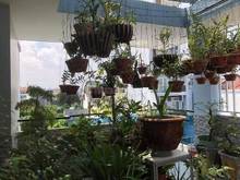 Hình ảnh Siêu phẩm 3 tầng mới cóng mặt tiền kinh doanh P.9,GV:56m2 chỉ 6.5 tỷ.
