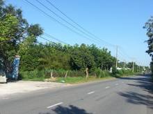 Hình ảnh Đất vườn củ chi giá ngộp 2183m2 liền kề kdc, sổ hồng riêng.