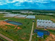 Hình ảnh bán gấp lô đất chỉ 85k/m2, SHR 14701m2, ngay Safari, gần trang trại,