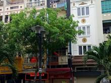 Hình ảnh Cho thuê 317A Lê Văn Sỹ, Quận 3 gần ngã 4 Trần Quang Diệu