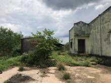 Hình ảnh 7 hecta 6. Tân thắng Bình thuận giá 3 tỷ 2/ ha.