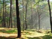 Hình ảnh Quy hoạch khu dân cư mới Điện Tiến - ECO RETREAT