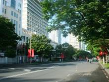Hình ảnh 169.Bán Khuôn Cao Ốc MT Quốc Hương, 10x26m, Khu Xây Cao, Đoạn Đẹp