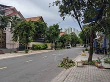 Hình ảnh Hót hót chủ cần định cư nước ngoài nên cần bán gấp biệt thự cao cấp Q8