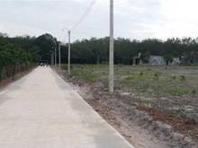 Hình ảnh Bán đất Bình Phước 280m2 có 100m2 đất ở đã có sổ riêng