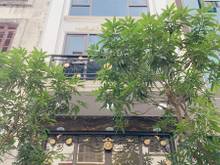 Hình ảnh Phân lô phạm tuấn tài kdoanh, vỉa hè, gara ô tô, thang máy dt 66m x