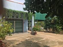 Hình ảnh Cần bán gấp nhà có vườn gần TT Định Quán chỉ 600 triệu/1000m2