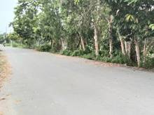 Hình ảnh Quận.12 Thạnh Xuân 52, Đất 26m x 25.5m.