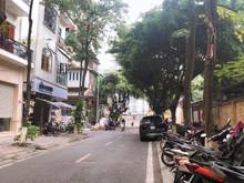 Hình ảnh Nhà [HIẾM] Phố [VIP] Nguyễn Văn Ngọc, Ba Đình, 73.6m2, An sinh-KD đỉnh