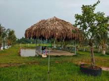 Hình ảnh Đất vườn củ chi có sẵn nhà vườn cực đẹp 1150m2 giá chỉ 1ty690 Sổ riêng