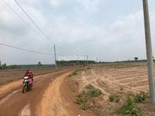 Hình ảnh Bán đất ngay ngã 3 đồng tâm tà thiết lộc ninh bình phước giá F0
