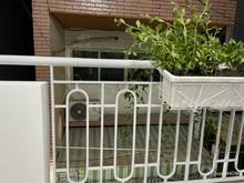 Hình ảnh Nhà hẻm 3m Ba Vân, P.14, Q.Tân Bình, DT: 3.05x10m, 1 lầu, Giá: 4.05 tỷ