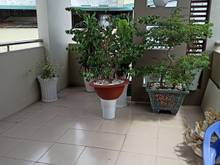 Hình ảnh Nhà nhỏ xinh HXH, 2 tỷ 9 TL. 5 tầng BTCT.Lê Hồng Phong. Quận 10.