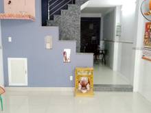 Hình ảnh Cho thuê nhà nguyên căn hẻm C9 đường Phạm Hùng P4 Q8