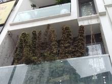 Hình ảnh Bán Nhà Q.10 43m2 HXH Nở Hậu Giá Chỉ 5,5 Tỷ.