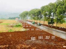 Hình ảnh Mở Bán Đất Full Thổ Cư Đà Lạt - Eden Hill