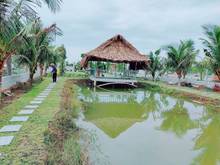Hình ảnh Nhà vườn sinh thái Củ Chi 1000m2, ao cá, cây ăn trái,nhà vườn.