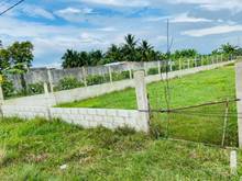 Hình ảnh Đất vườn Củ Chi 2 lô liền kề MT Bê tông 1130m2 giá rẻ 2ty050 SHR