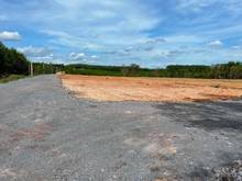 Hình ảnh đất sào phước bình long thành dt : 1142m2