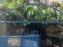 Hình ảnh Thuê nhà nguyên căn Quận Bình Thạnh chính chủ, giá rẻ, an ninh