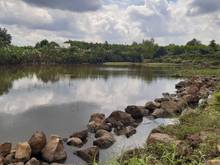 Hình ảnh VIEW hồ xã vĩnh tân cách biên hòa chùng 12km