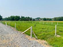 Hình ảnh Đất vườn củ chi 620m2 giá ngộp 1ty2, khu dân cư, sổ hồng riêng.