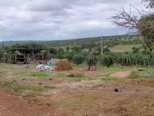 Hình ảnh Bán 4169m đất hồng thái gần liên huyện ra sân bay phan thiết chỉ 646tr