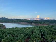 Hình ảnh Đất view siêu đẹp ven sông Đa Nhim - Đức Trọng, ven Đà Lạt, Lâm Đồng