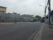 Hình ảnh Bán Nhà Kho,Xưởng MT Khủng Trịnh ThịDối,725M2,CHỉ26.5Tỷ Đông Thạnh HM.