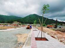 Hình ảnh Chính chủ ngộp thở bán gấp lô đất đẹp tại phường Kim Dinh - TP Bà Rịa