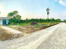 Hình ảnh Đất Sào Phước Bình, Vị Trí Đẹp Tiềm Năng, Giá Rẻ 1.4Triệu/M2, Pháp Lý