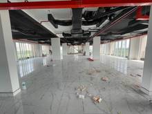 Hình ảnh Cho thuê Shophouse sala thông hoàn thiện diện tích lớn 30x20m