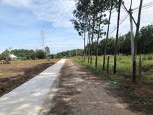 Hình ảnh Đất Bình Phước sổ riêng giá rẻ