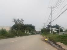 Hình ảnh Đất Đông Thạnh, Hóc Môn 650m2 Full thổ, sẵn Nhà Xưởng giá rẻ còn TL.