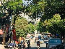 Hình ảnh [ HIẾM ] nhà Đẹp, MP.Thành công, Ba Đình, 90m2, mặt tiền to, ở-kd đỉnh