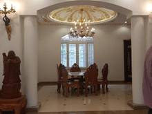 Hình ảnh Biệt thự Vip góc 2 MT Khu Tên Lửa, Bình Tân, 20x22m, 60 tỷ