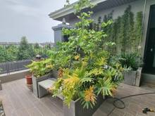 Hình ảnh Biệt Thự 5* - Sân Vườn - Hồ Cá Koi - 250/350m2 - Căn mẫu đẹp nhất khu.